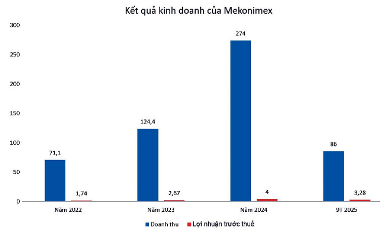 Nguồn: Báo cáo tài chính doanh nghiệp. Đơn vị tính: tỷ đồng
