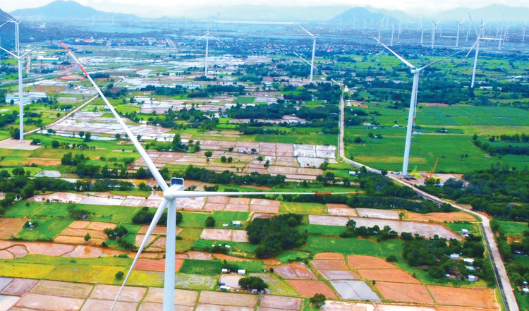 Sở Công Thương tỉnh Quảng Trị đang mời nhà đầu tư đăng ký thực hiện nhiều dự án điện gió. Ảnh: Nhã Chi