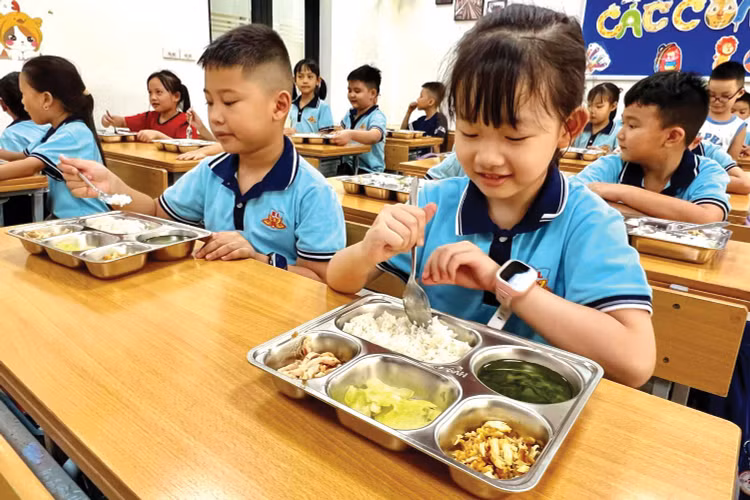 TP. Hà Nội hiện có hơn 800 trường tiểu học với gần 800.000 học sinh, các trường đều tổ chức học 2 buổi/ngày và có triển khai bữa ăn trưa bán trú tại trường. Minh họa: Hà Linh