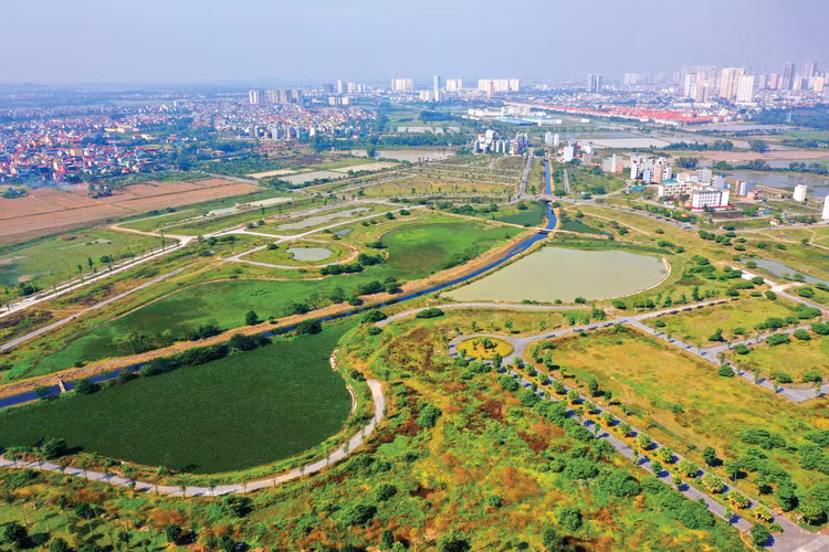 Thực tiễn tổ chức đấu thầu dự án khu đô thị, khu dân cư nông thôn cho thấy, việc sử dụng kết quả đấu giá khu đất dự án làm tham chiếu xác định tỷ lệ nộp ngân sách nhà nước tối thiểu (m) trong hồ sơ mời thầu đã không còn phù hợp. Ảnh: Lê Tiên