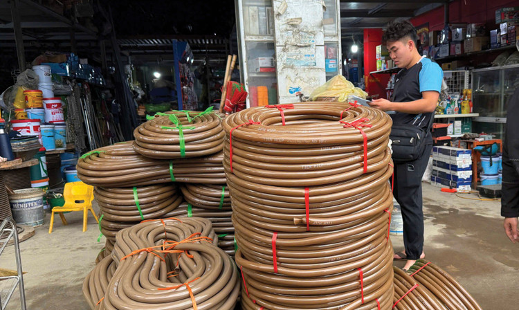 Hộ kinh doanh, cá nhân kinh doanh thuộc diện không chịu thuế giá trị gia tăng, không phải nộp thuế thu nhập cá nhân không phải sử dụng hóa đơn điện tử khi bán hàng. Ảnh: Thanh Huyền