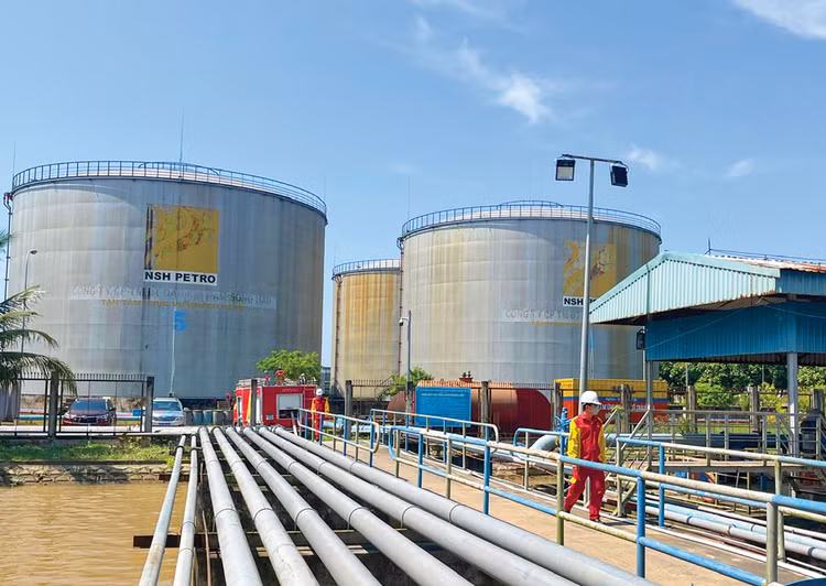 Phiên đấu giá khoản nợ của Công ty CP Thương mại Đầu tư Dầu khí Nam Sông Hậu dự kiến diễn ra vào ngày 6/11/2025. Ảnh: Song Vy