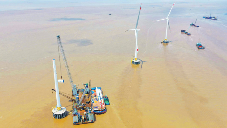 Năm 2025 chứng kiến sự chuyển động mạnh mẽ trong hoạt động đấu thầu lựa chọn nhà đầu tư thực hiện các dự án năng lượng tái tạo. Ảnh: Nguyễn Văn Cường