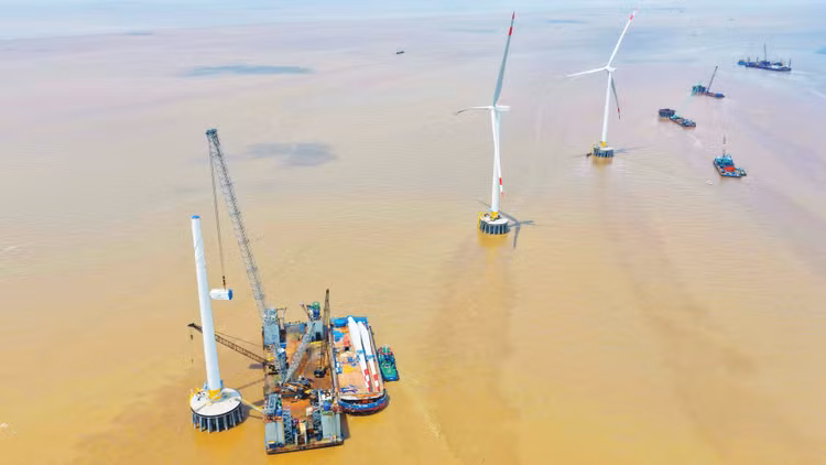 Năm 2025 chứng kiến sự chuyển động mạnh mẽ trong hoạt động đấu thầu lựa chọn nhà đầu tư thực hiện các dự án năng lượng tái tạo. Ảnh: Nguyễn Văn Cường