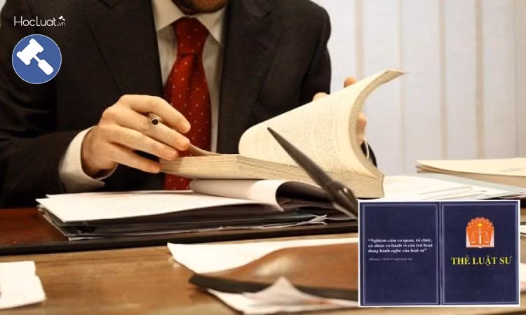 Lĩnh vực bổ trợ tư pháp có nhiều điều kiện kinh doanh cần cắt giảm