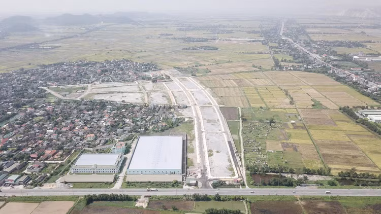 Ảnh minh họa: Internet