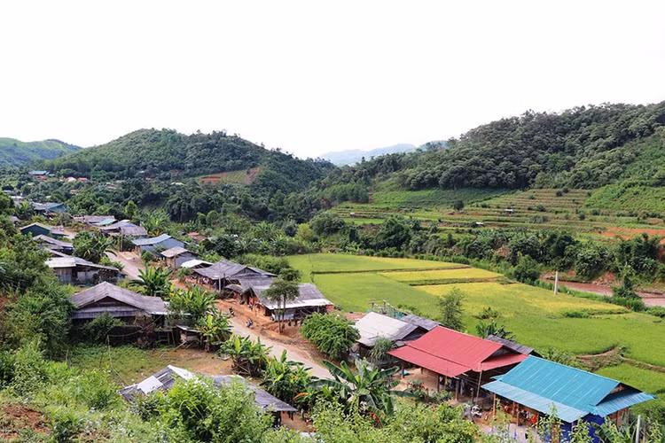 Ảnh chỉ mang tính minh họa. Nguồn Internet