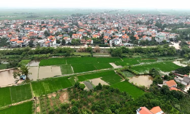 Ảnh chỉ mang tính minh họa. Nguồn Internet