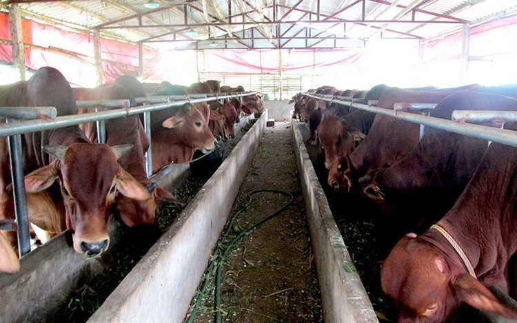 Ảnh minh họa internet