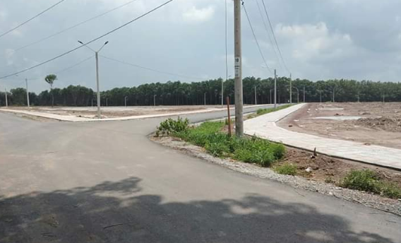 Ảnh minh họa internet