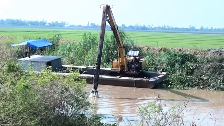 Ảnh minh họa internet