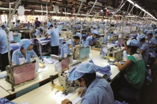 Ảnh minh họa: Internet