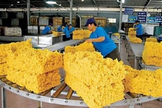 Xuất khẩu cao su tháng 6 tăng mạnh cả lượng và giá trị