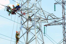 Nhiều dự án lưới điện lớn đang tăng tốc để hoàn thành trong năm 2022. Ảnh minh họa: Nhã Chi