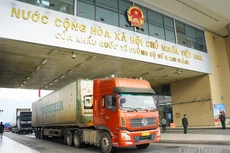 Hoạt động xuất nhập khẩu qua cửa khẩu quốc tế đường bộ số II Kim Thành, Lào Cai