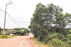 Dự án Hạ tầng cơ bản cho phát triển toàn diện tỉnh Quảng Trị có tổng mức đầu tư 44,7 triệu USD, thời gian thực hiện 2018 - 2023. Ảnh: Vũ Hoàng