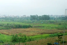 Cần có thêm thời gian để nghiên cứu, thể chế hóa đầy đủ chủ trương, chính sách của Đảng, hoàn thiện Dự án Luật Đất đai (sửa đổi). Ảnh: Tiên Giang