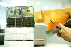 Nhiều doanh nghiệp ghi nhận khoản lỗ chênh lệch tỷ giá hàng trăm, thậm chí hàng nghìn tỷ đồng trong quý II/2022. Ảnh: Tiên Giang