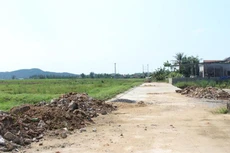 Đấu giá 43 lô đất khu quy hoạch xóm Xuân Đồng (TP. Vinh)