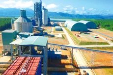 Dự án Nhà máy Bột giấy Phương Nam được rao bán nhiều lần nhưng vẫn không có người mua. Ảnh: P. Nam