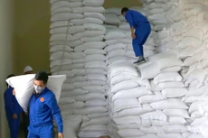 6 gói thầu cung cấp gạo nhập kho dự trữ quốc gia do Cục Dự trữ Nhà nước khu vực Đông Nam Bộ mời thầu có tổng giá gói thầu hơn 74,4 tỷ đồng. Ảnh: Gia Bảo