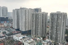 Ảnh chỉ mang tính minh họa: Internet