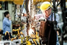 Ảnh minh họa: Internet