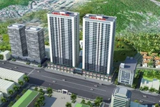 NTL đặt kế hoạch lợi nhuận năm 2022 đạt 240 tỷ đồng