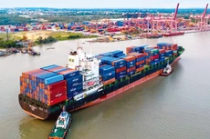 Giá cước vận tải đường biển tăng “phi mã” ảnh hưởng đến giá thành sản phẩm cũng như năng lực cạnh tranh của doanh nghiệp xuất khẩu. Ảnh: Lê Tiên