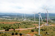 Tỷ lệ nguồn điện tái tạo gia tăng đáng kể trong cơ cấu công suất hệ thống điện. Ảnh: Nhã Chi