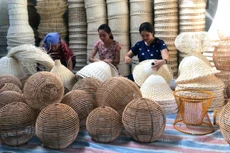 Dự án Luật Hợp tác xã (sửa đổi) sau khi được ban hành được kỳ vọng sẽ tạo điều kiện thuận lợi để các tổ chức kinh tế hợp tác phát triển năng động, hiệu quả. Ảnh: Sơn Trúc