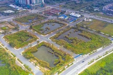 Bộ Tài nguyên và Môi trường chỉ ra nhiều bất cập trong quy trình, thủ tục tổ chức các phiên đấu giá đất. Ảnh minh họa: Internet