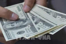 Giá USD hôm nay 15/8 ổn định. Ảnh: TTXVN phát