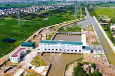 Ảnh Internet