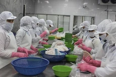 Đóng gói cá ngừ xuất khẩu tại Bidifish