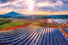 Nhiều doanh nghiệp điện mặt trời gặp khó khăn vì bị cắt giảm công suất