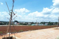 Đăk Lăk đấu giá 124 thửa đất khu dân cư, tổng giá khởi điểm gần 350 tỷ đồng 