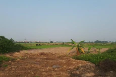 Ảnh minh họa: Internet