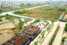 Những thủ tục hành chính gây nhiều khó khăn nhất cho doanh nghiệp thuộc lĩnh vực đất đai, thuế, phí, bảo hiểm xã hội và xây dựng. Ảnh: Lê Tiên