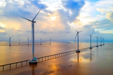 Cơ chế đấu thầu mua điện từ dự án điện gió, điện mặt trời làm tăng tính cạnh tranh trong đầu tư phát triển năng lượng tái tạo. Ảnh: Trần Minh Lương