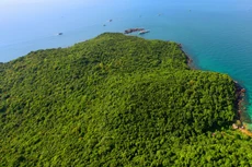 Theo bản công bố thông tin của PIDIC, tổng diện tích đất mua là 92.954,3 m2, trong đó có 36.242,4 m2 được cấp giấy chứng nhận quyền sử dụng đất với mục đích sử dụng là đất trồng cây lâu năm, cây công nghiệp. Ảnh minh họa: Tường Lâm