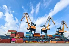 HAH chốt quyền trả cổ tức năm 2021 bằng tiền và cổ phiếu, tổng 50%