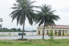 VWS chia cổ tức 10% bằng tiền mặt