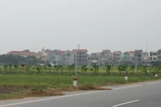 Hưng Yên: Đấu giá 56 lô đất nhà ở nông thôn mới