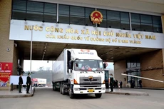 Trung Quốc khôi phục nhập khẩu trái cây tươi tại cửa khẩu Kim Thành II