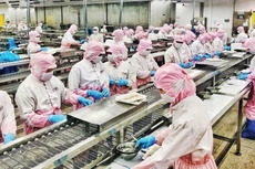 Năm 2021, Việt Nam xuất khẩu sang Nga khoảng 550 triệu USD các mặt hàng nông lâm thủy sản. Ảnh: Nhã Chi