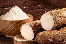 Kim ngạch xuất khẩu sắn của Việt Nam đứng thứ 2 thế giới chỉ sau Thái Lan