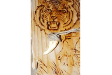 Hổ trong mơ ước của nhiều người