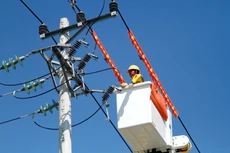 Tổng công ty CP Xây dựng điện Việt Nam trúng 2 trong 3 gói thầu thuộc Dự án Đường dây 220 kV Huội Quảng - Nghĩa Lộ. Ảnh minh họa: Tiên Giang