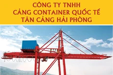 Công ty TNHH Cảng container quốc tế Tân Cảng Hải Phòng thông báo mời báo giá cẩu giàn STS